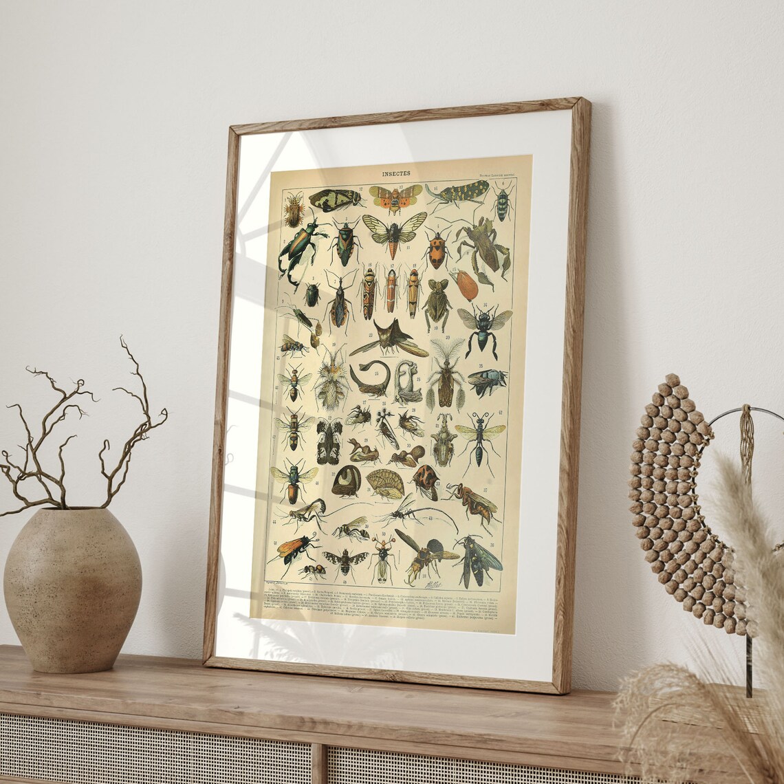 Adolphe Millot Vintage Insect Illustrations Art Print - Image 4