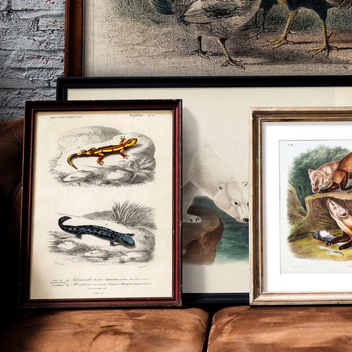 Vintage French Salamander Reptiles Chart Natural History Art Print - Image 2