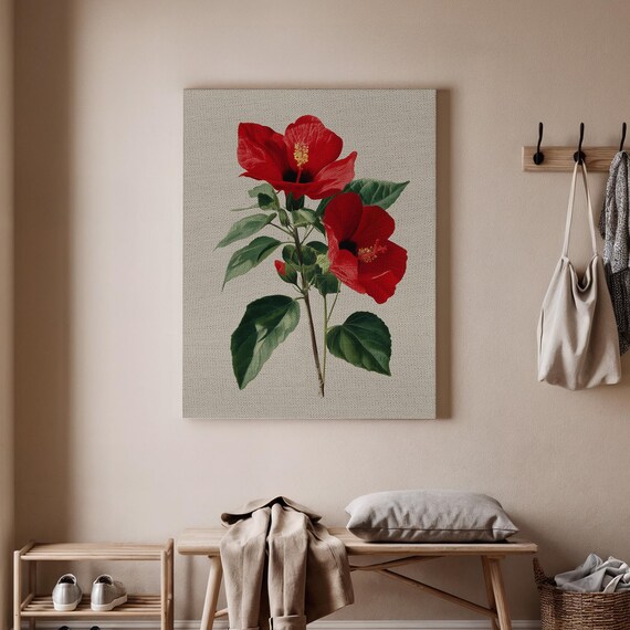 Red Hibiscus Flower Botanical Illustration Vintage Art Poster