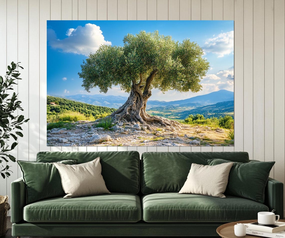 Ancient Olive Tree On Rocky Hillside With Green Valley View Poster