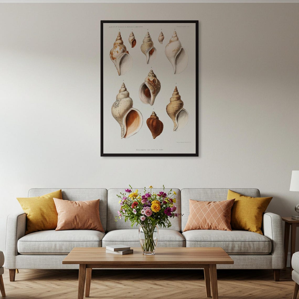 Vintage Scientific Illustration of Seashells Mollusk Study Poster - Image 2
