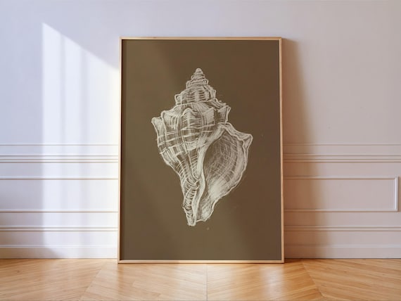 White Conch Seashell Chalk Sketch Art Print