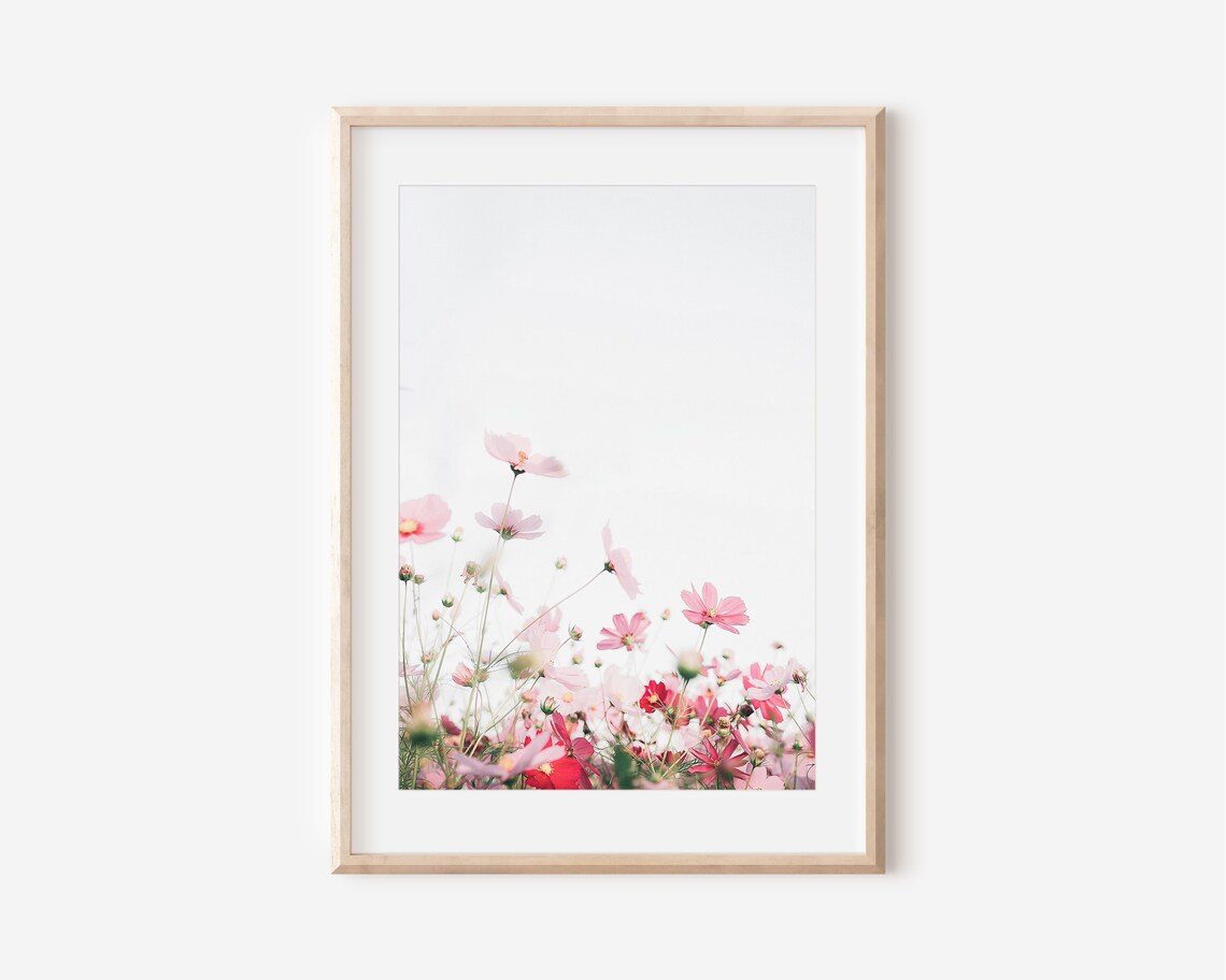 Pink Cosmos Wildflowers Soft Minimal Floral Meadow Photo Poster