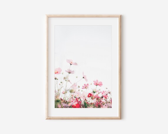 Pink Cosmos Wildflowers Soft Minimal Floral Meadow Photo Poster