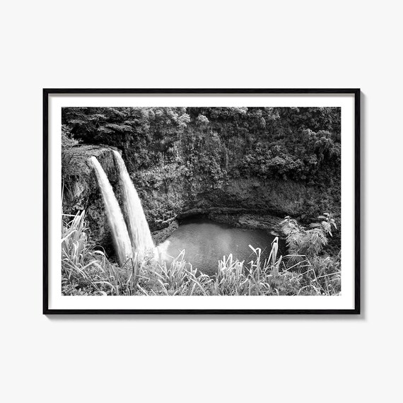 Kauai Waterfall Plunging Into Jungle Pool Black And White Poster