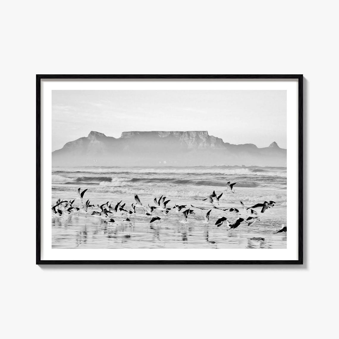 Table Mountain Cape Town Black and White Beach Birds Photo Poster