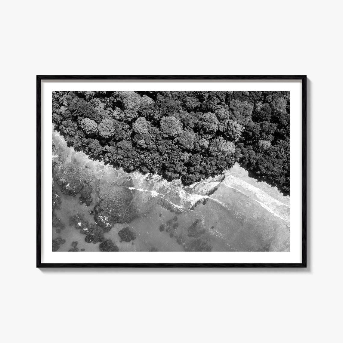 Costa Rica Aerial Rainforest Ocean Shoreline Black White Poster