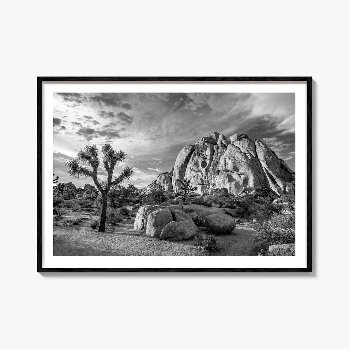Joshua Tree National Park Black And White Travel Map