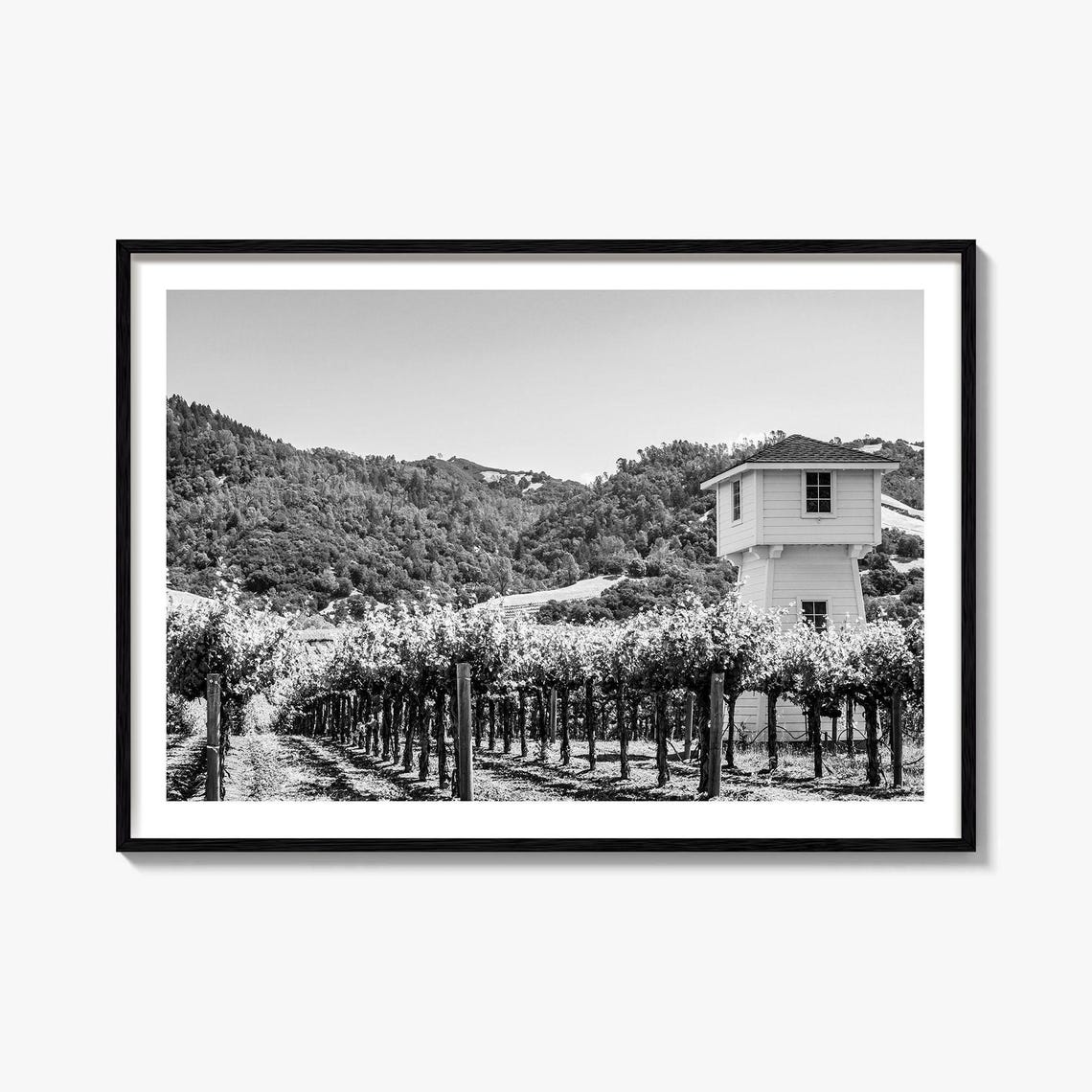 Sonoma California Vineyard Black and White Water Tower Photo Print