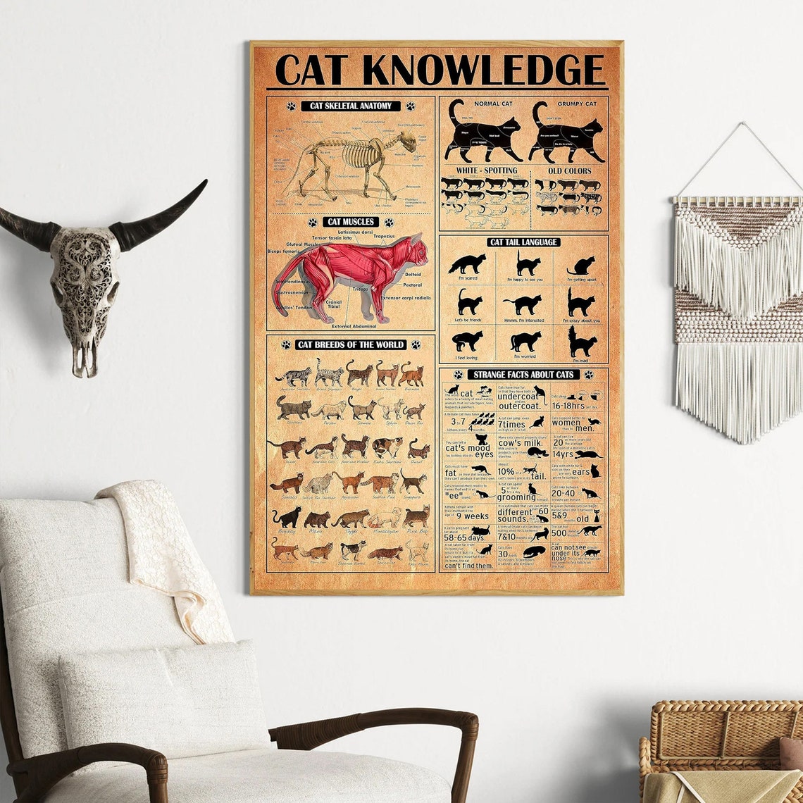 Cat Knowledge Anatomy Breeds and Tail Language Vintage Poster - Image 4