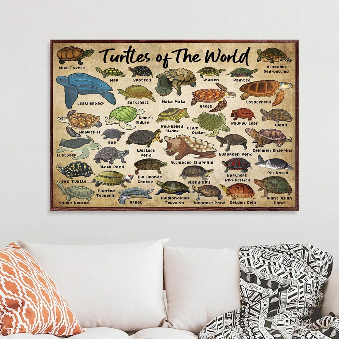 Turtles of the World Illustrated Species Identification Chart Poster - Image 3