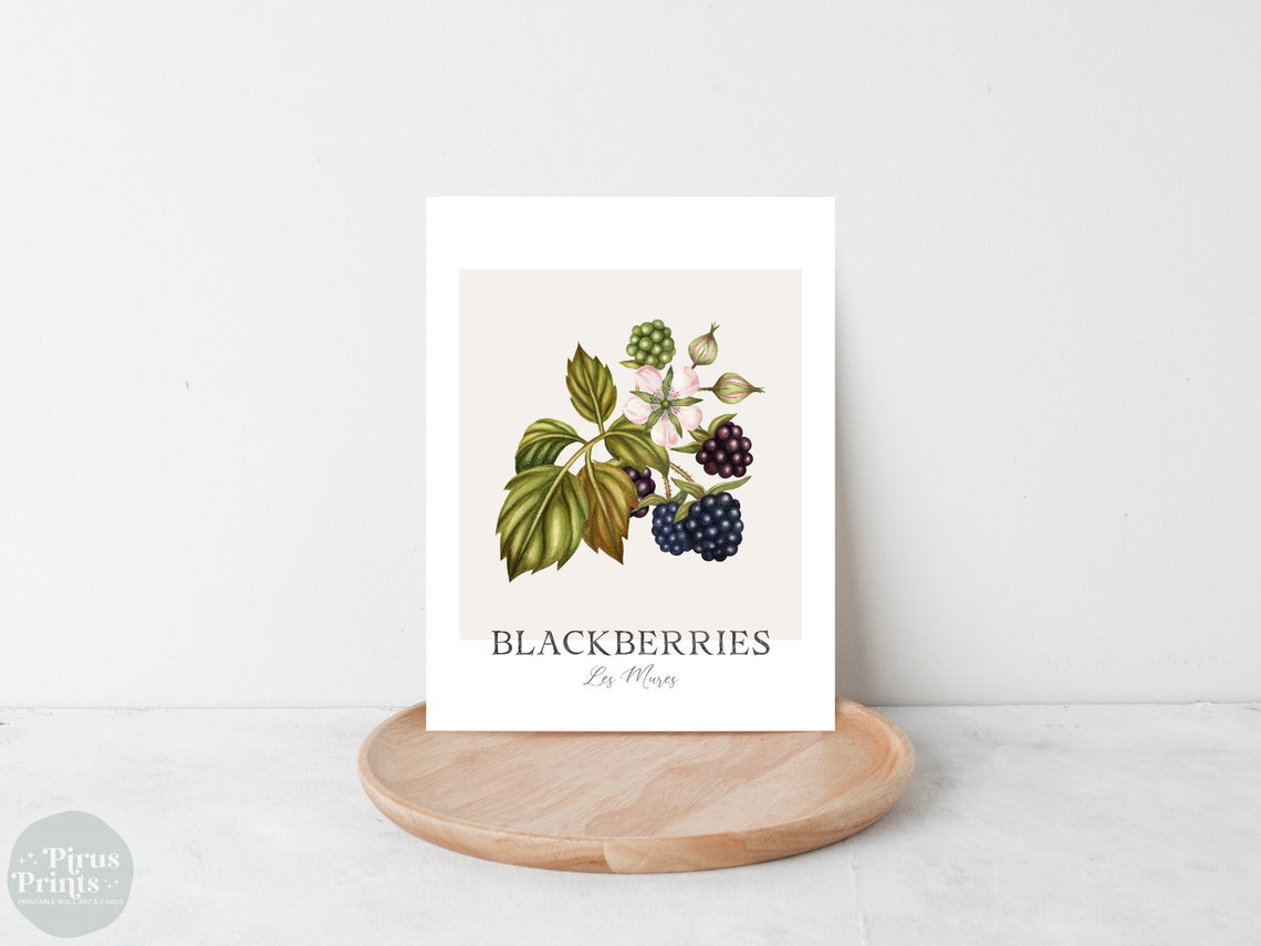 Watercolor Blackberries Botanical Print Minimal Berry Kitchen Wall Art - Image 2