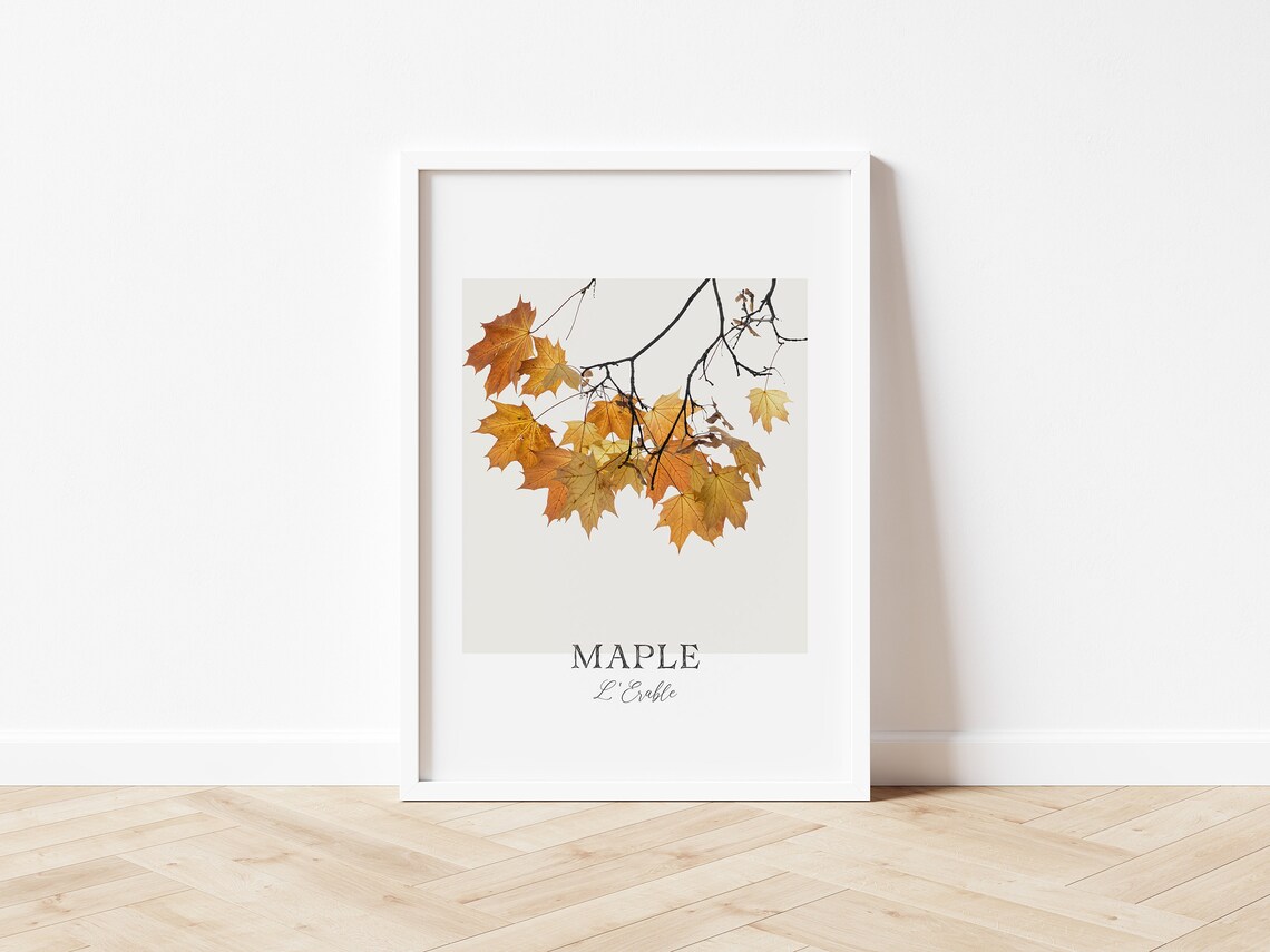 Maple Leaves Print, Fall Decor Botanical Art Print - Image 4