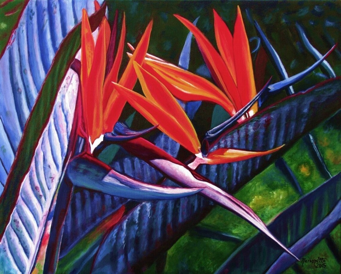 Bird Of Paradise Art Print, Hawaii