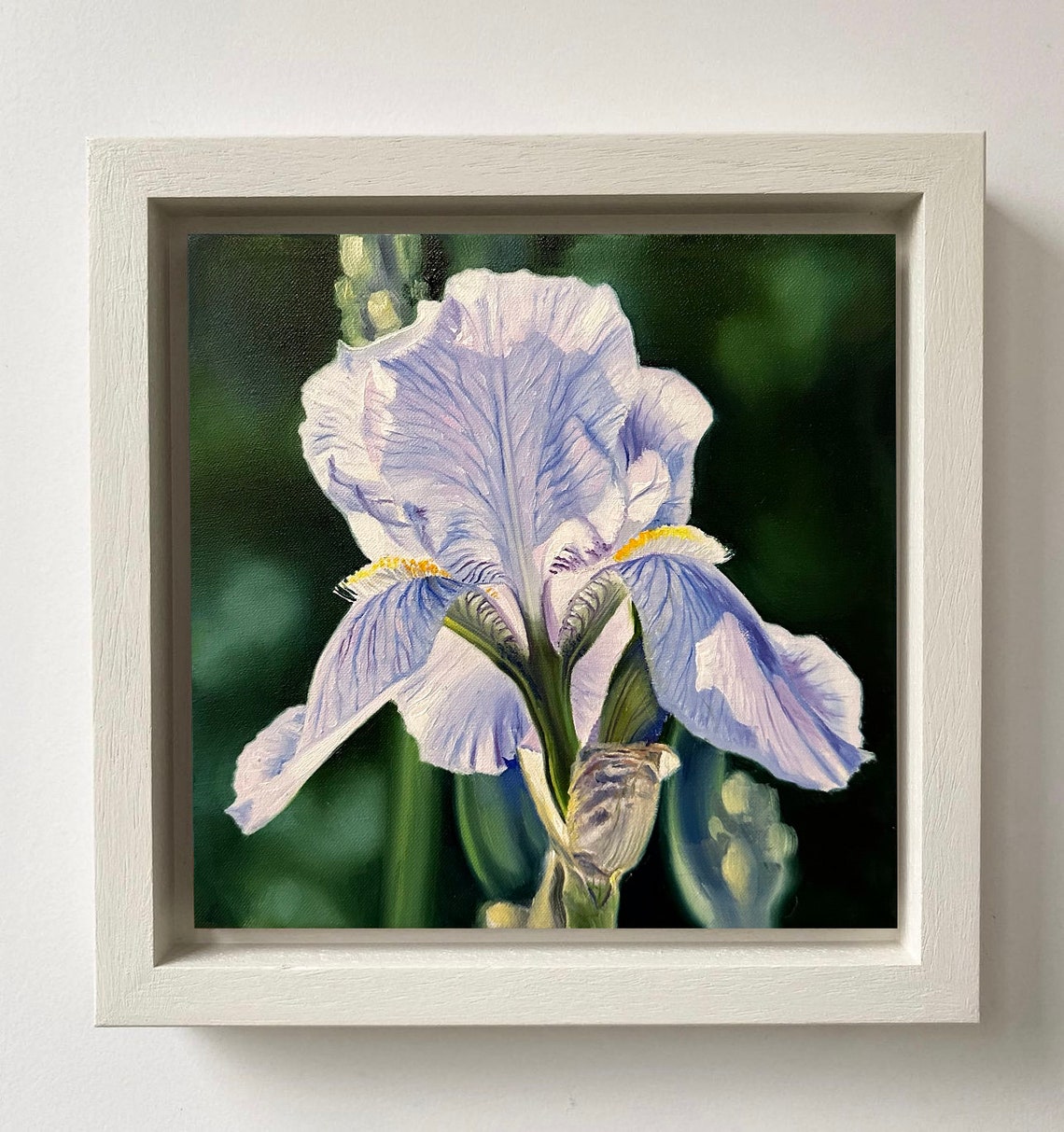 Lavender Blue Bearded Iris Flower Dark Green Macro Oil Wall Art
