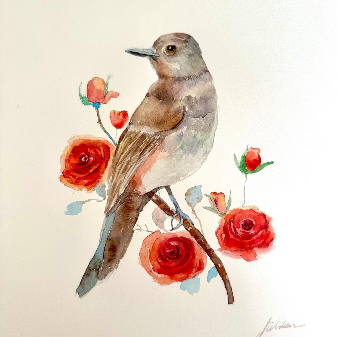 Songbird Perched Among Red Roses Watercolor Bird and Flower Poster