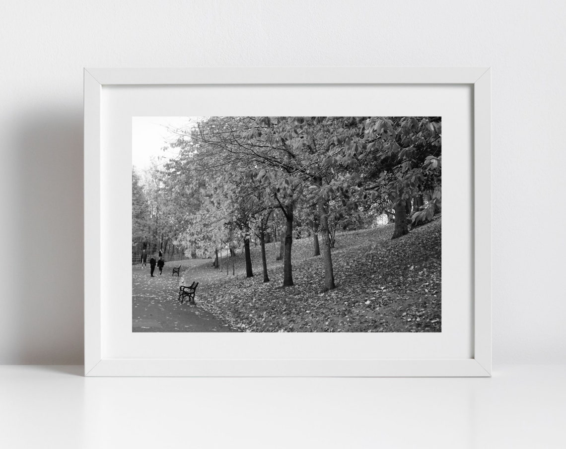 Autumn Park Path With Benches Black White Fall Foliage Photo Poster