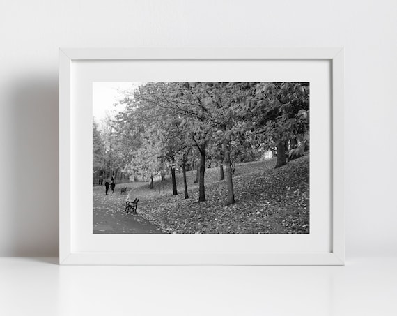 Autumn Park Path With Benches Black White Fall Foliage Photo Poster