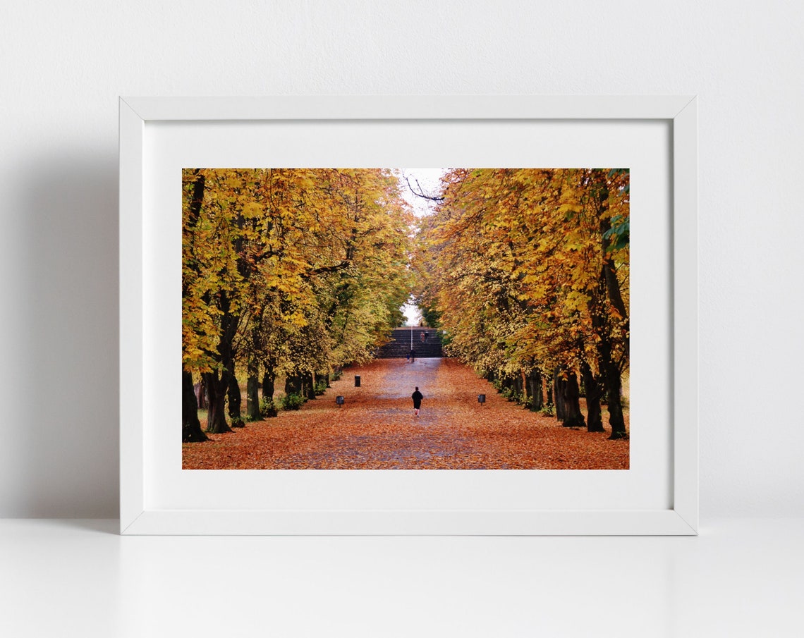 Glasgow Queens Park Autumn Fall Foliage Photography Print Poster Wall Art