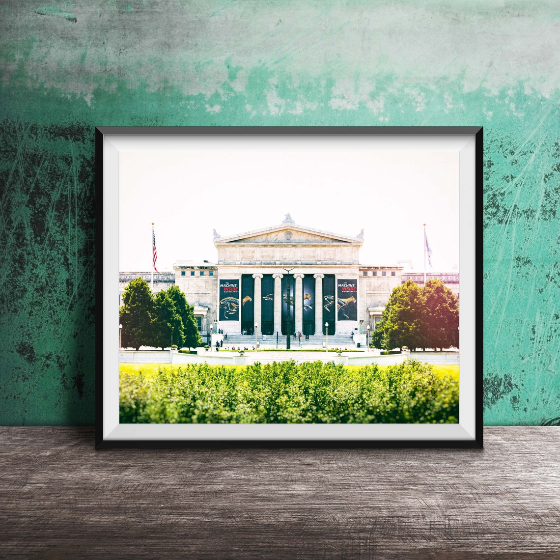 Field Museum Chicago Natural History Facade Columns Photo Poster