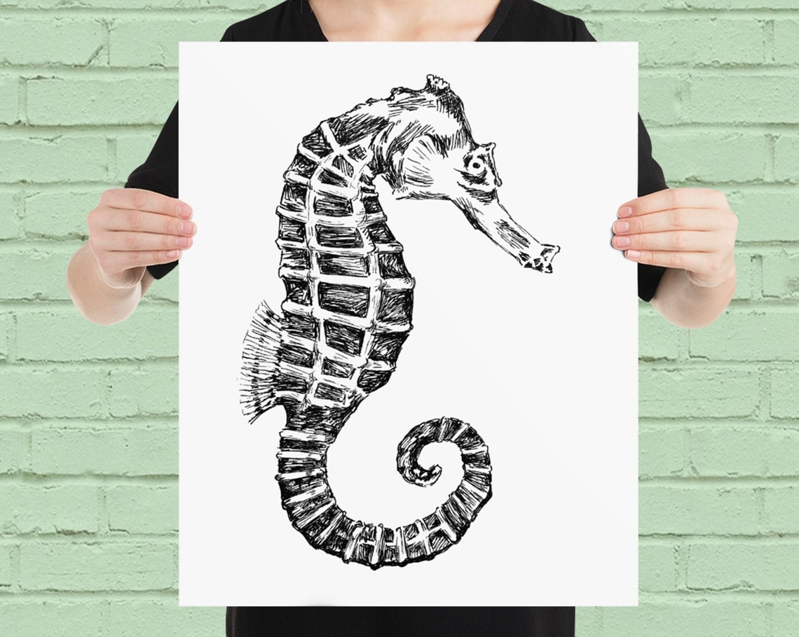 Seahorse Black and White Hand Drawn Ocean Life Sketch Wall Art - Image 4
