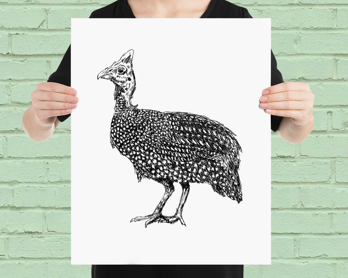 Guinea Fowl Bird Black and White Hand Drawn Wildlife Wall Art - Image 4