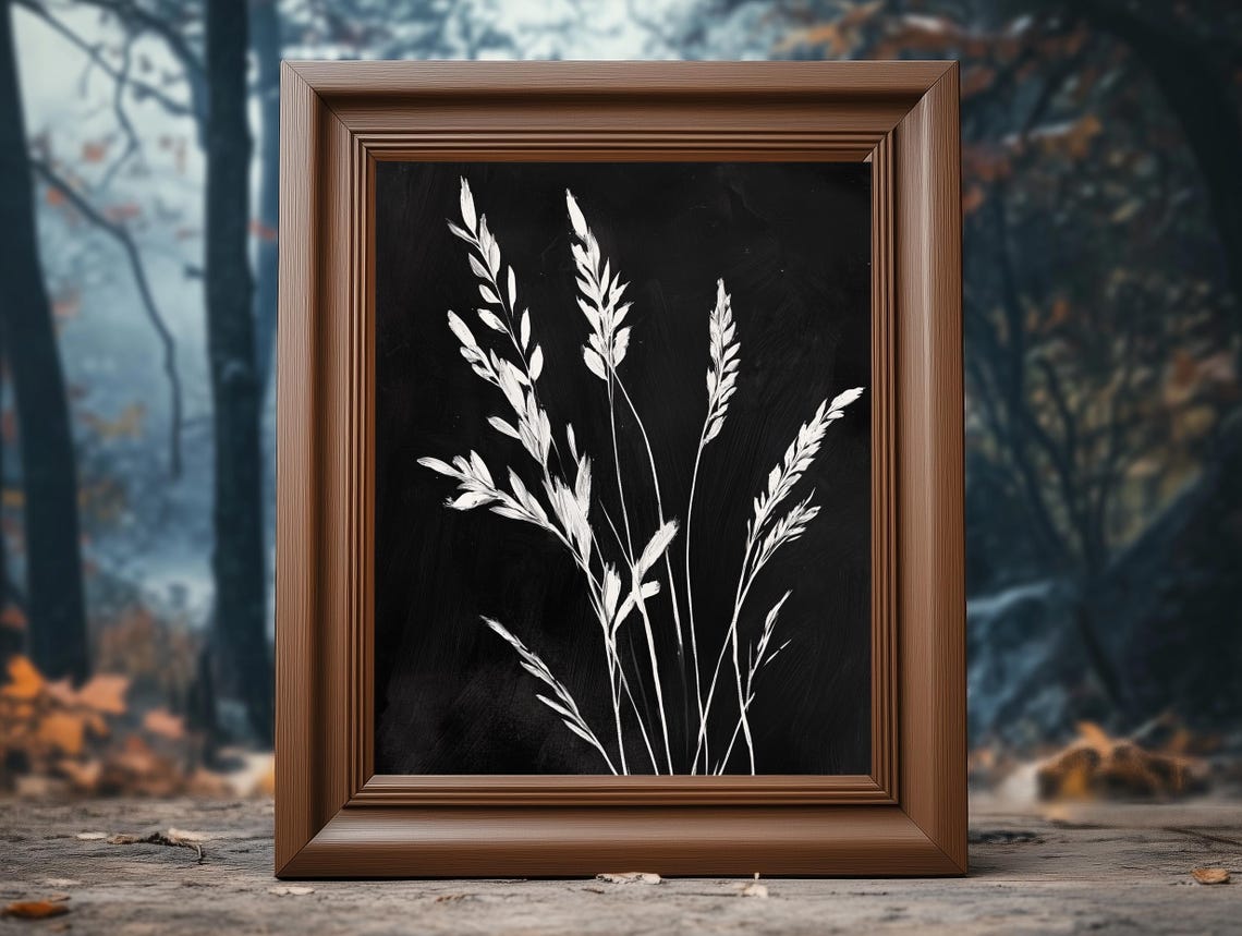 White Grass Stalks Botanical Study Dark Background Modern Art Poster - Image 4