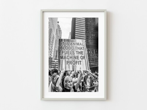 Animal Rights Protest Sign Street Photo Black And White Poster