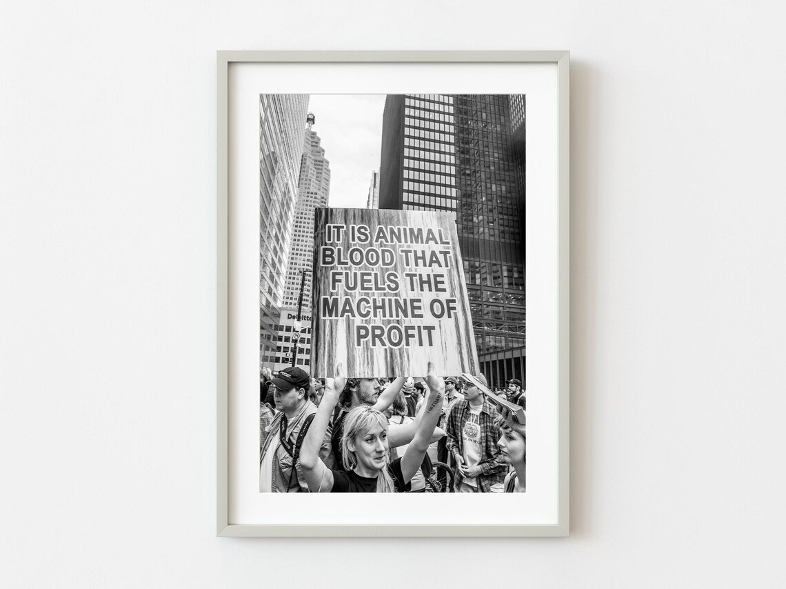 Animal Rights Protest Sign Street Photo Black And White Poster