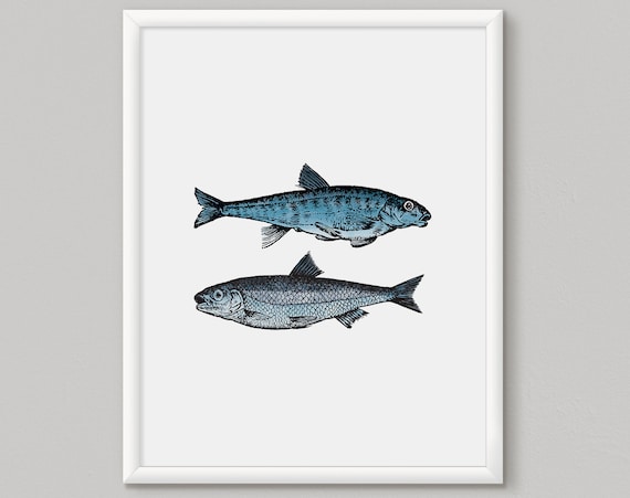 Fish Wall Art Fish Print Wall Art Wall Art Print Blue Print Set Fishing Wall Art Print Angling Gift Idea Beach House Art Coastal
