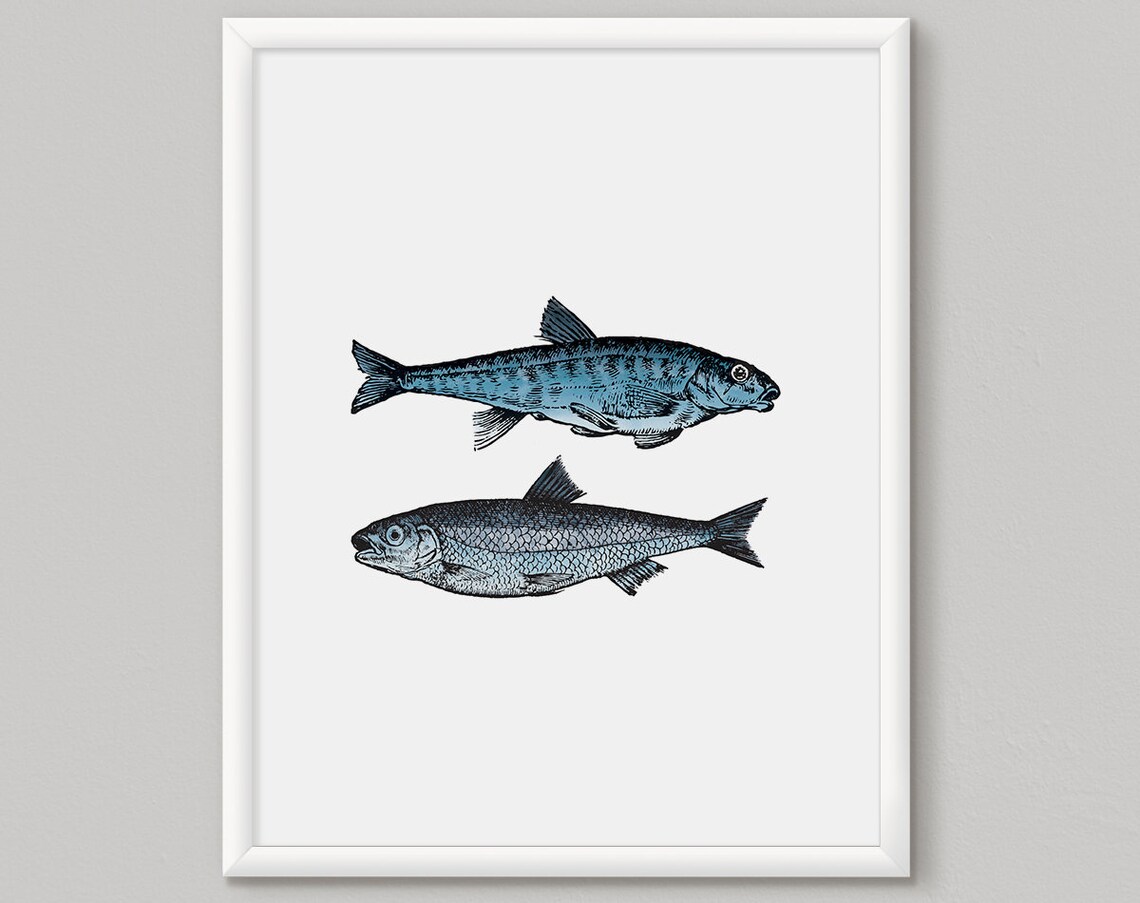 Vintage Fish Illustration Blue Coastal Marine Life Art Poster