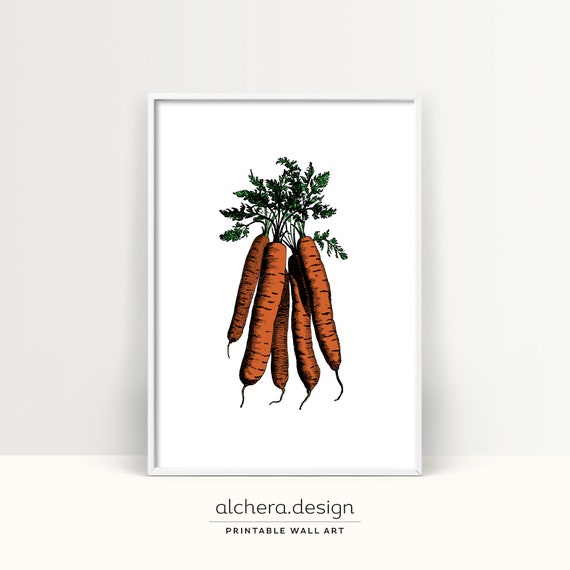 Carrot Kitchen Decor Carrot Illustration Wall Art Vegetable Art Print Farmhouse Style Carrot Print