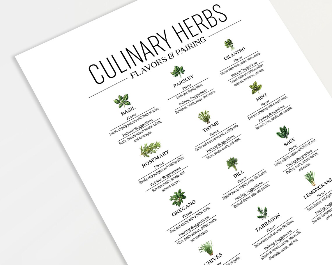 Herb Guide Poster, Kitchen Wall Decor Art Print - Image 2