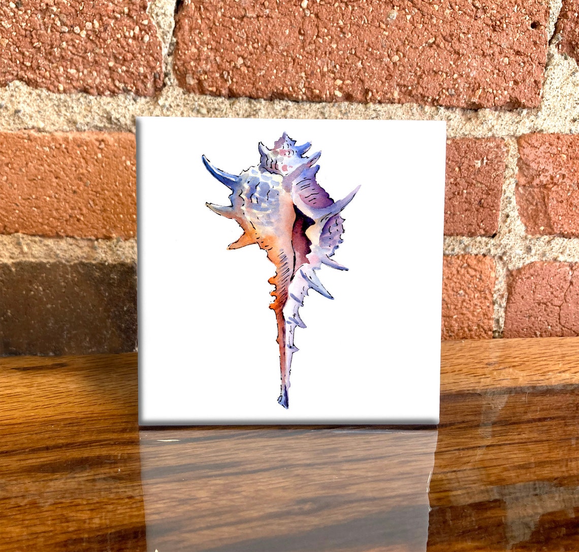 Spiky Murex Seashell Watercolor Coastal Beach Decor Lovely Poster