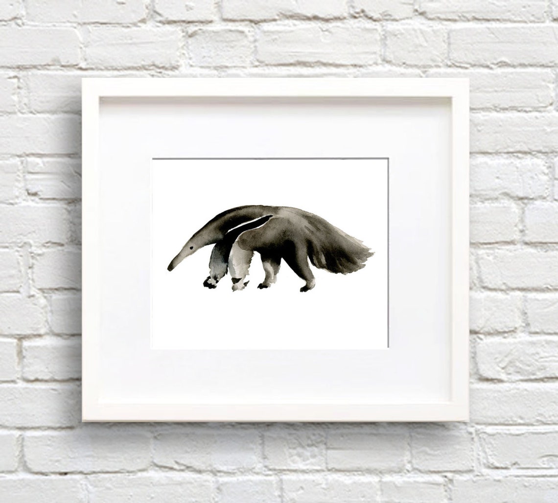 Black Giant Anteater Watercolor Wildlife Safari Animal Poster