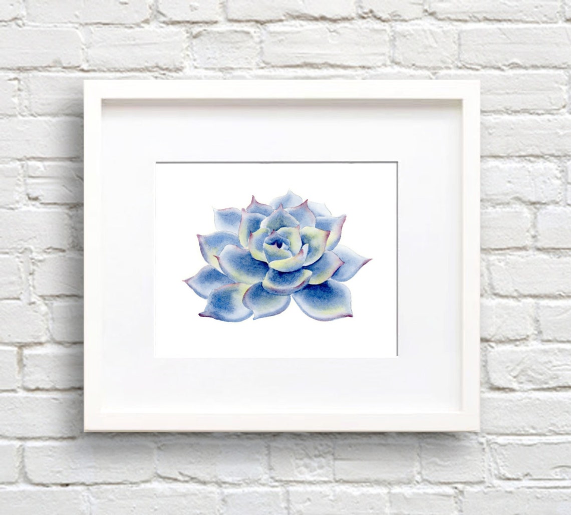 Cool Blue Echeveria Succulent Rosette Watercolor Botanical Poster