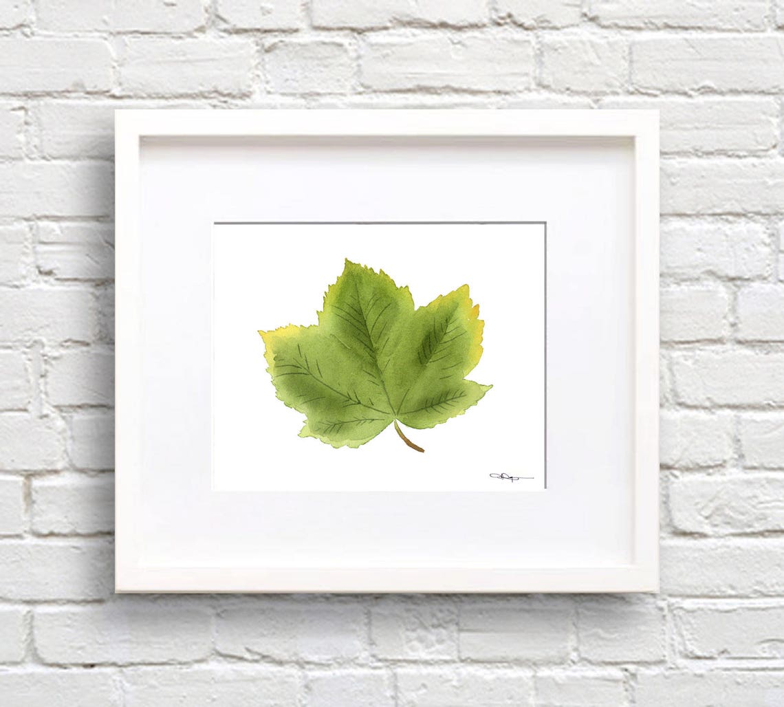 Green Sycamore Leaf Watercolor Botanical Study Nature Poster