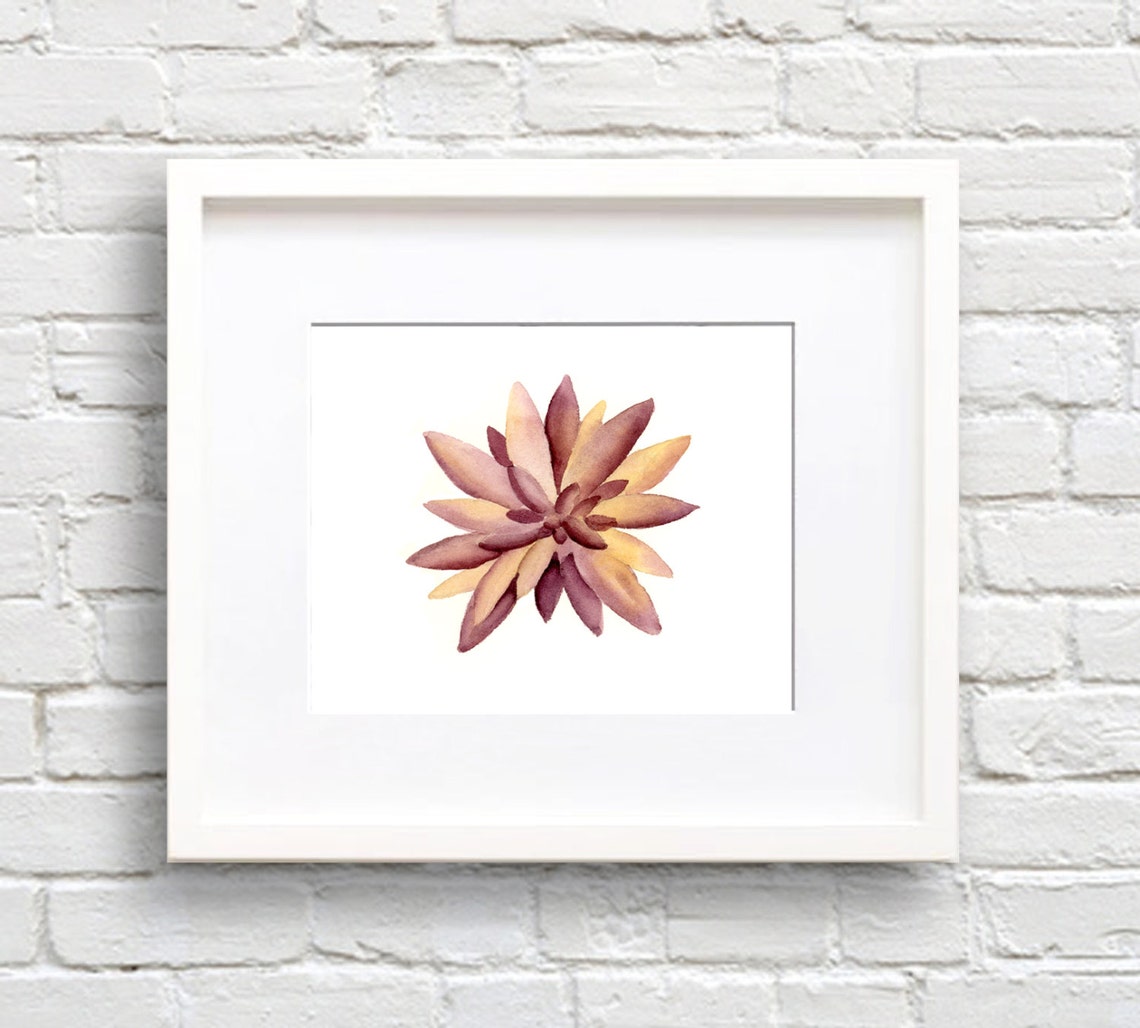 Peachy Starburst Succulent Top View Watercolor Plant Decor Poster