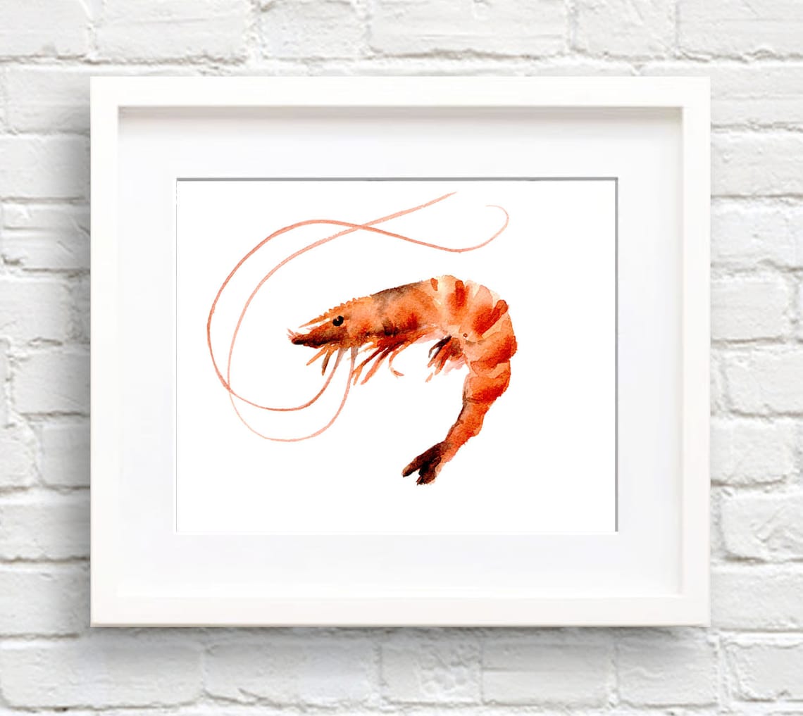 Shrimp Watercolor Art Print, Kitchen Wall Decor