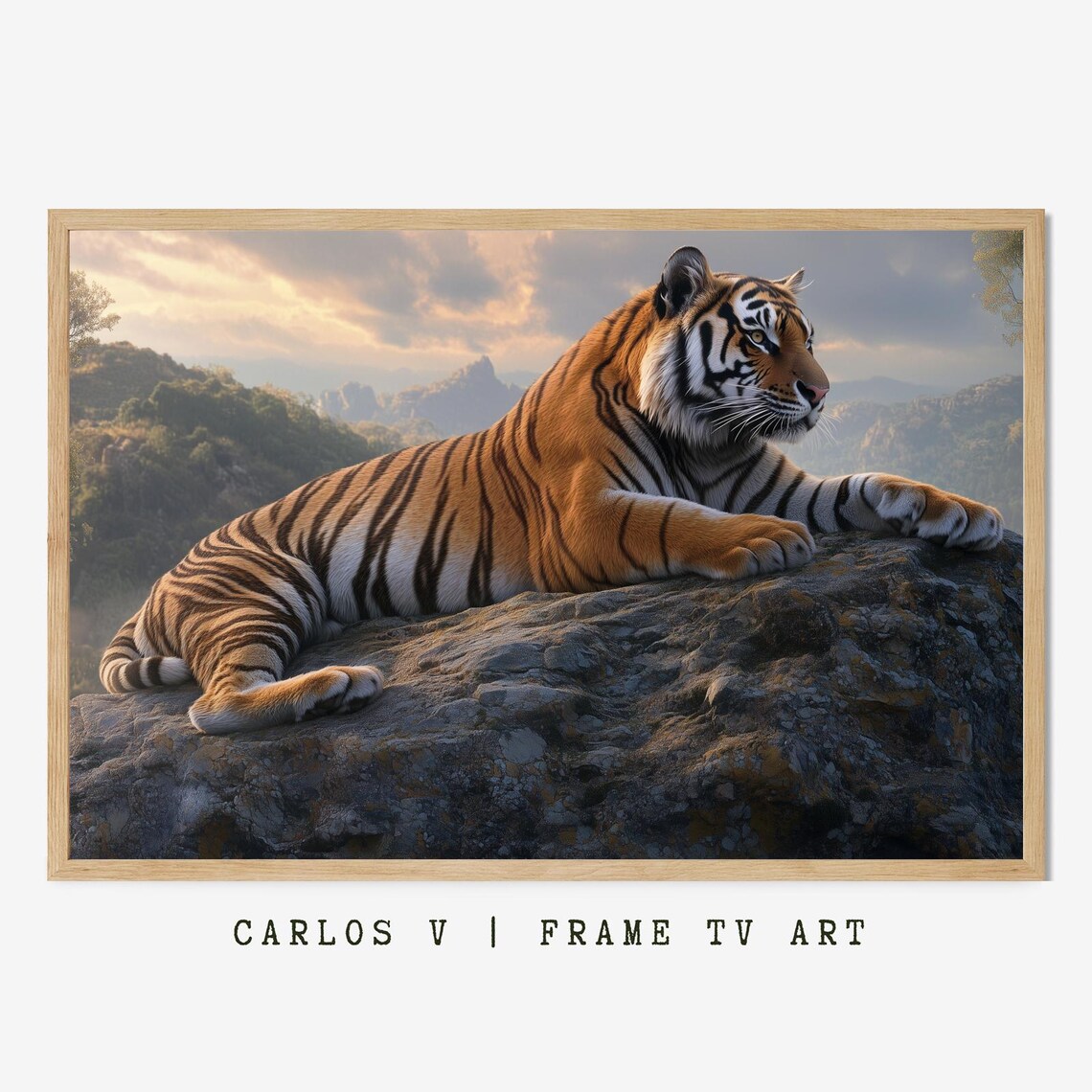 Tiger Resting On A Cliff, Majestic Predator At Rest