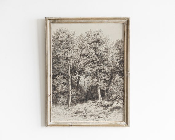 Vintage Tree Sketch, Neutral Forest Drawing