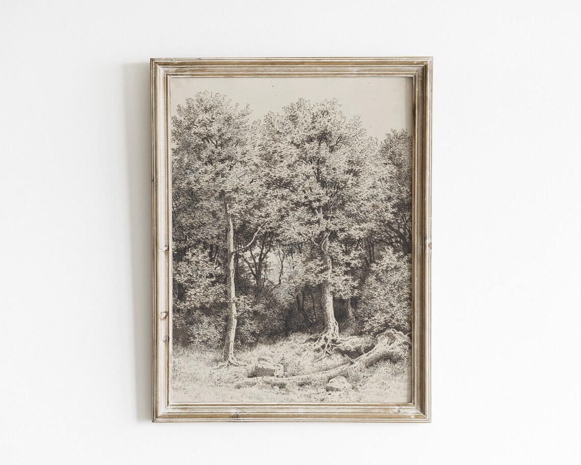 Vintage Tree Sketch, Neutral Forest Drawing