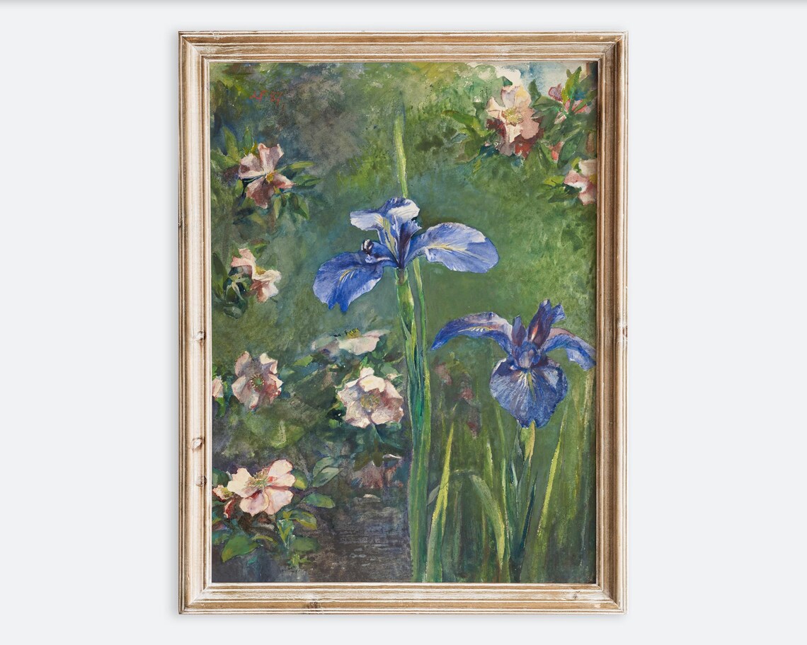 European Vintage Wild Roses And Irises Art Print
