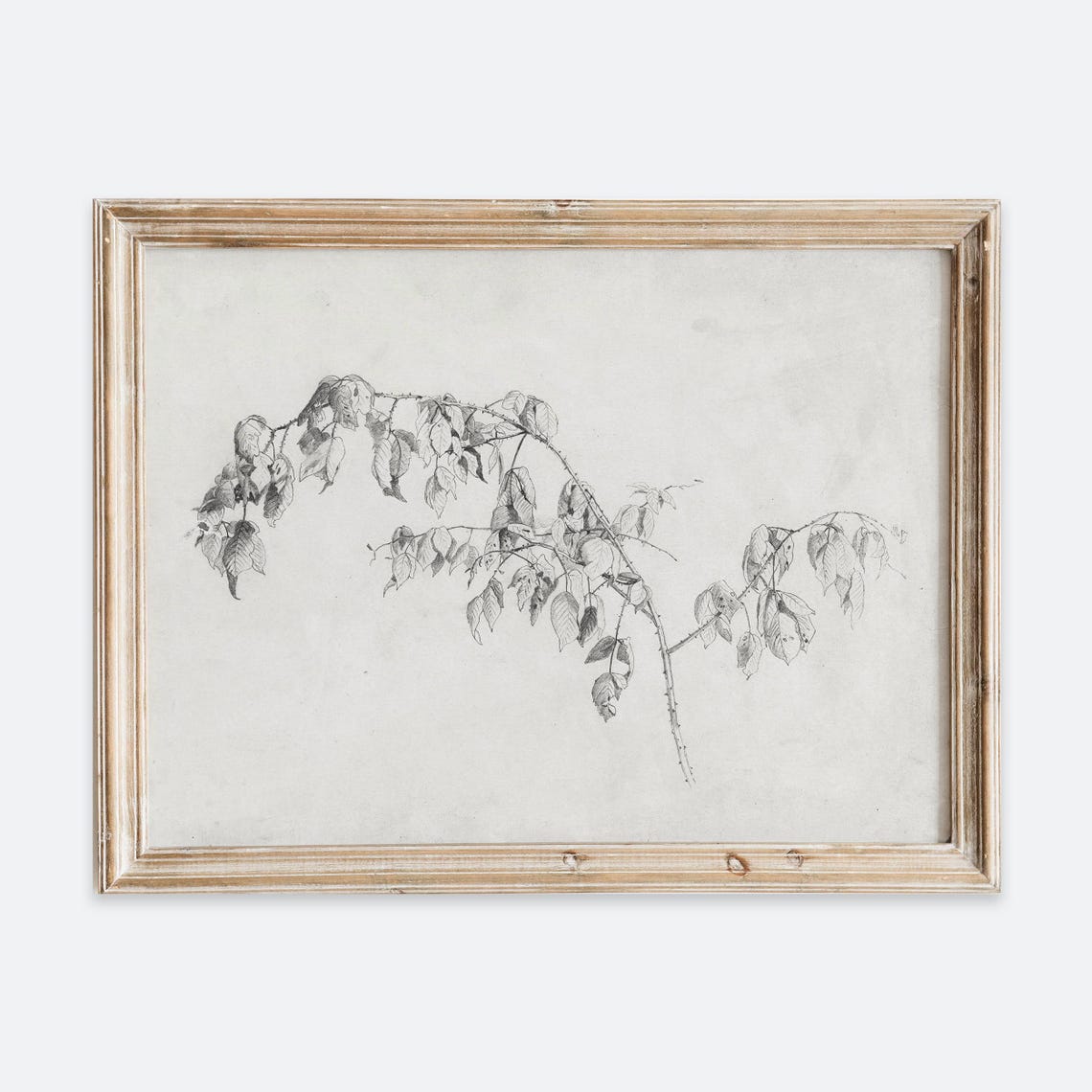 Vintage Botanical Branch Sketch Wall Art Neutral Leaf Pencil Drawing