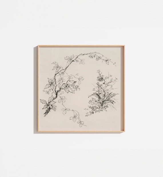 Vintage Floral Ink Drawing Botanical Art Print