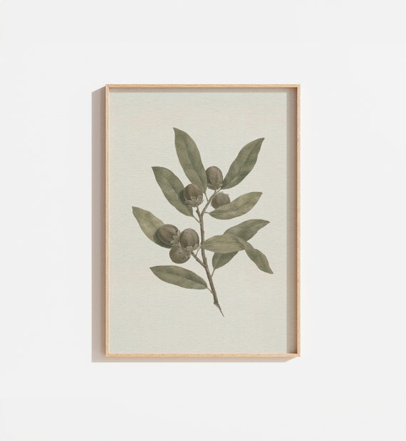 Vintage Botanical Branch Drawing, Neutral Wall Print