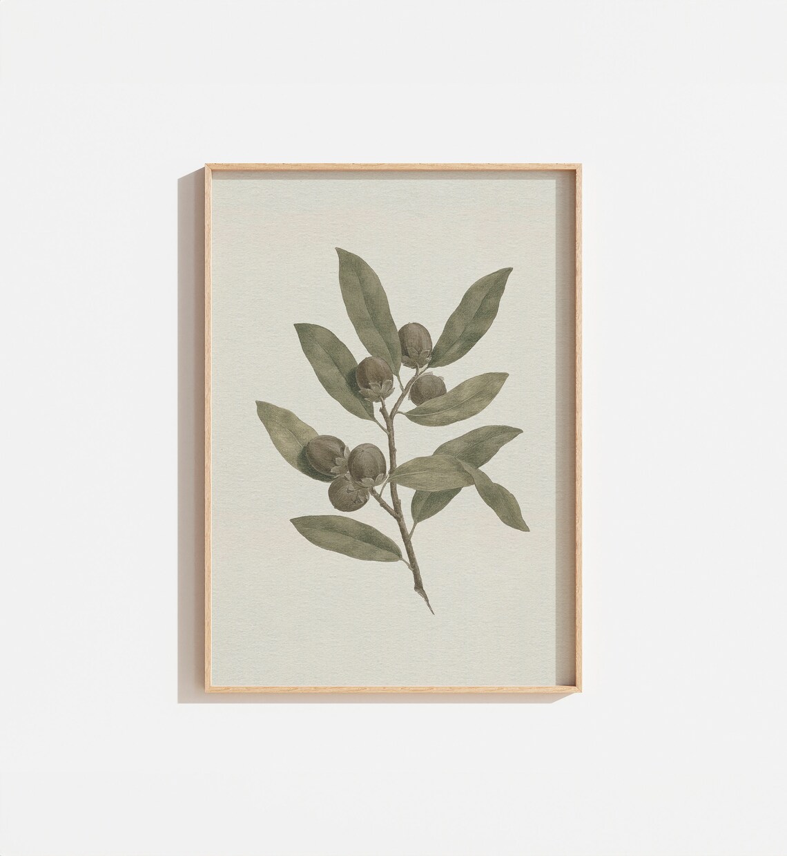 Vintage Botanical Branch Drawing, Neutral Wall Print