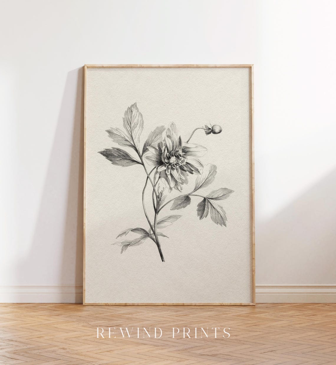 Vintage Black White Botanical Engraving Flower Sketch Neutral Wall Art - Image 5