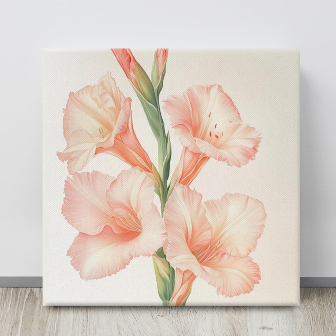 Peach Coral Gladiolus Blooms Cream Botanical Illustration Art Poster