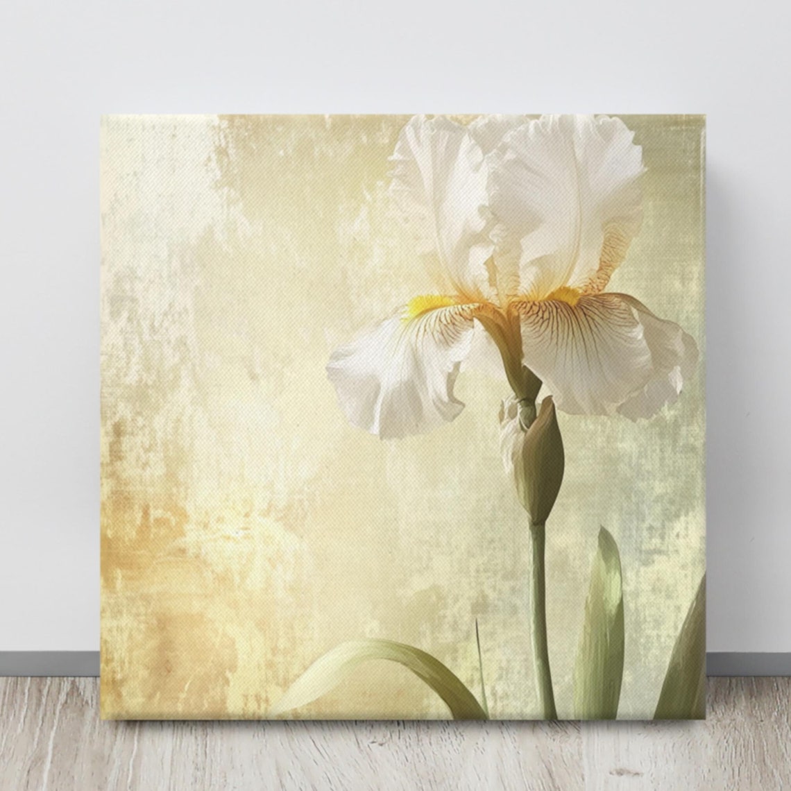 White Bearded Iris Gold Textured Background Elegant Flower Poster